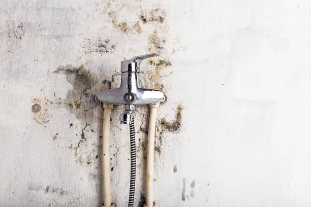 Certified Mold Removal in Helena Valley Southeast, MT