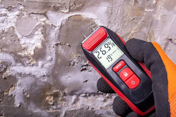 Best Mold Damage Repair  in Helena Valley Southeast, MT