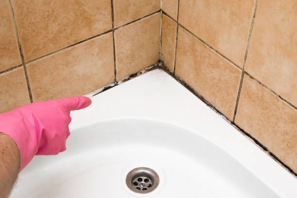 Best Crawl Space Mold Removal  in Helena Valley Southeast, MT